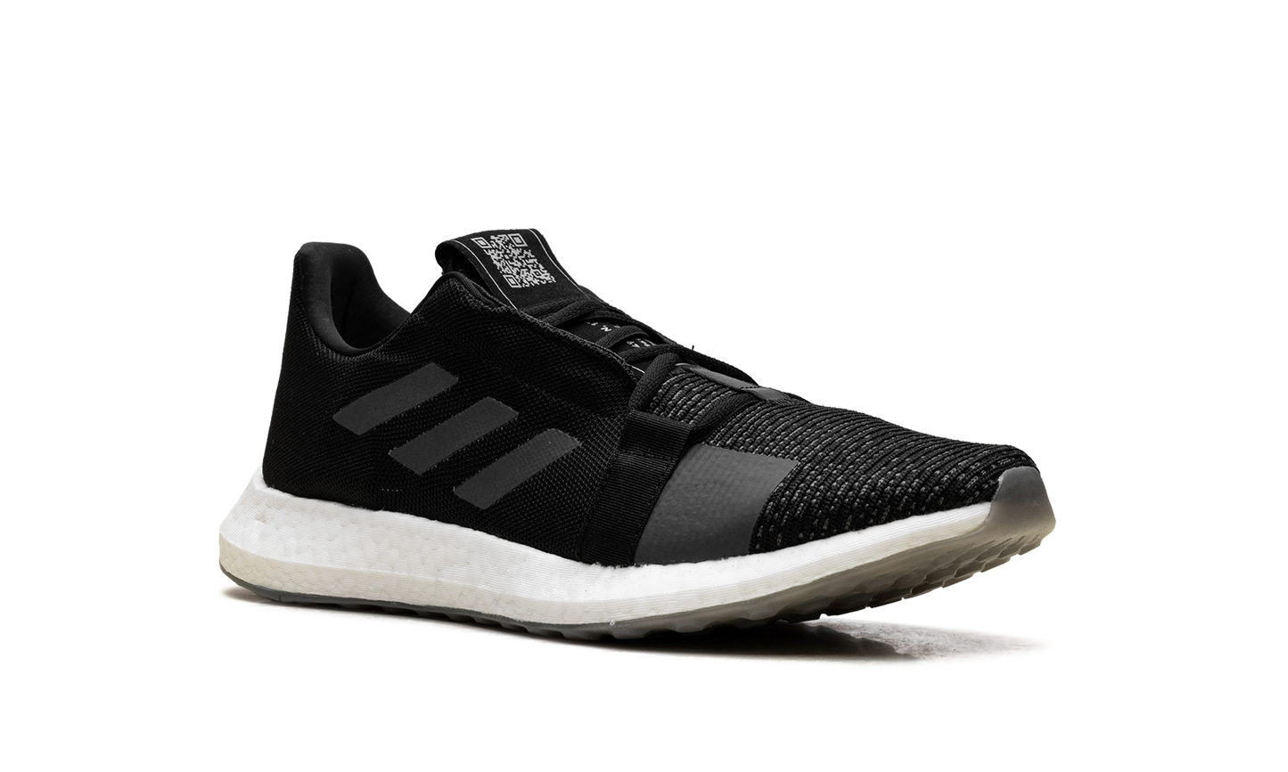 SenseBoost Go EG0960