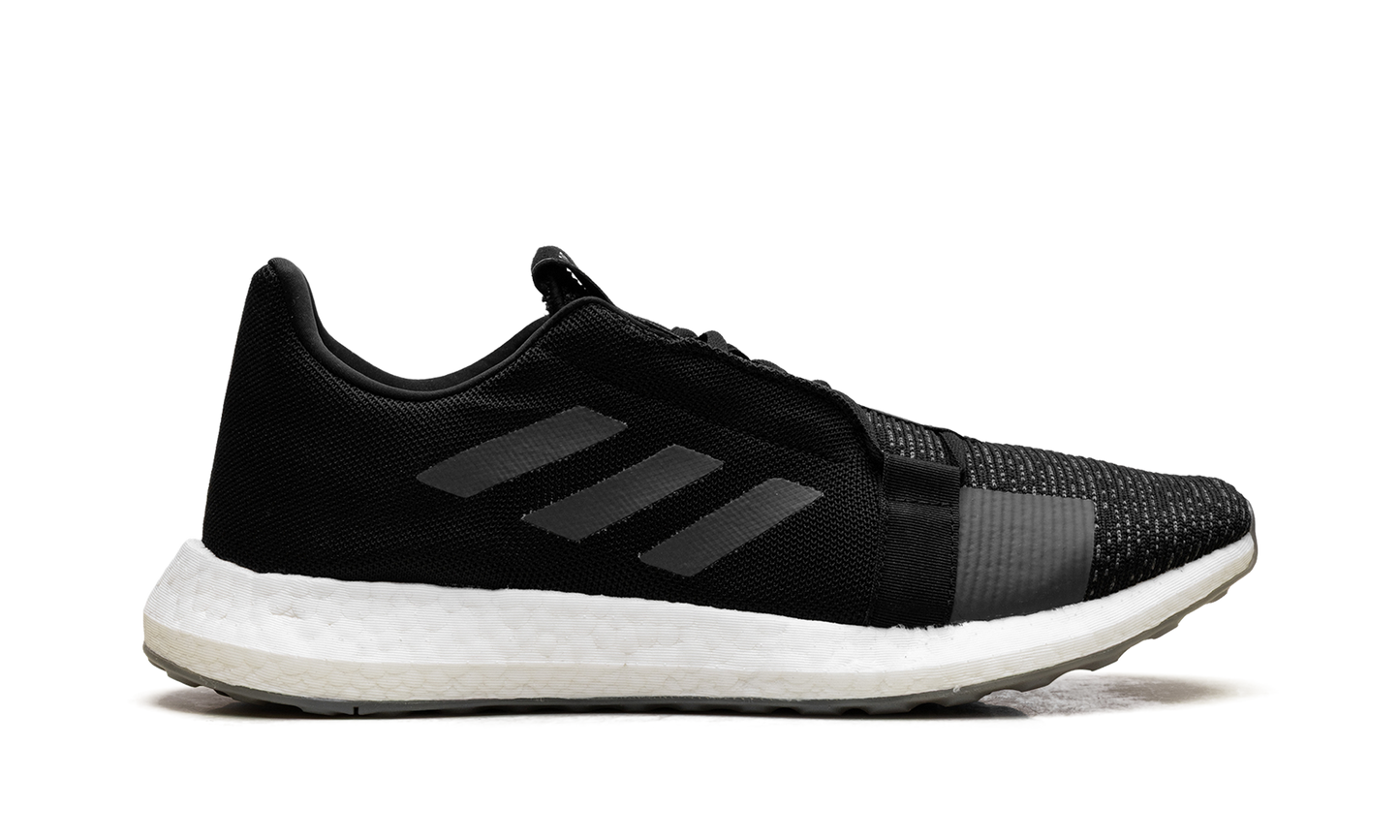 SenseBoost Go EG0960