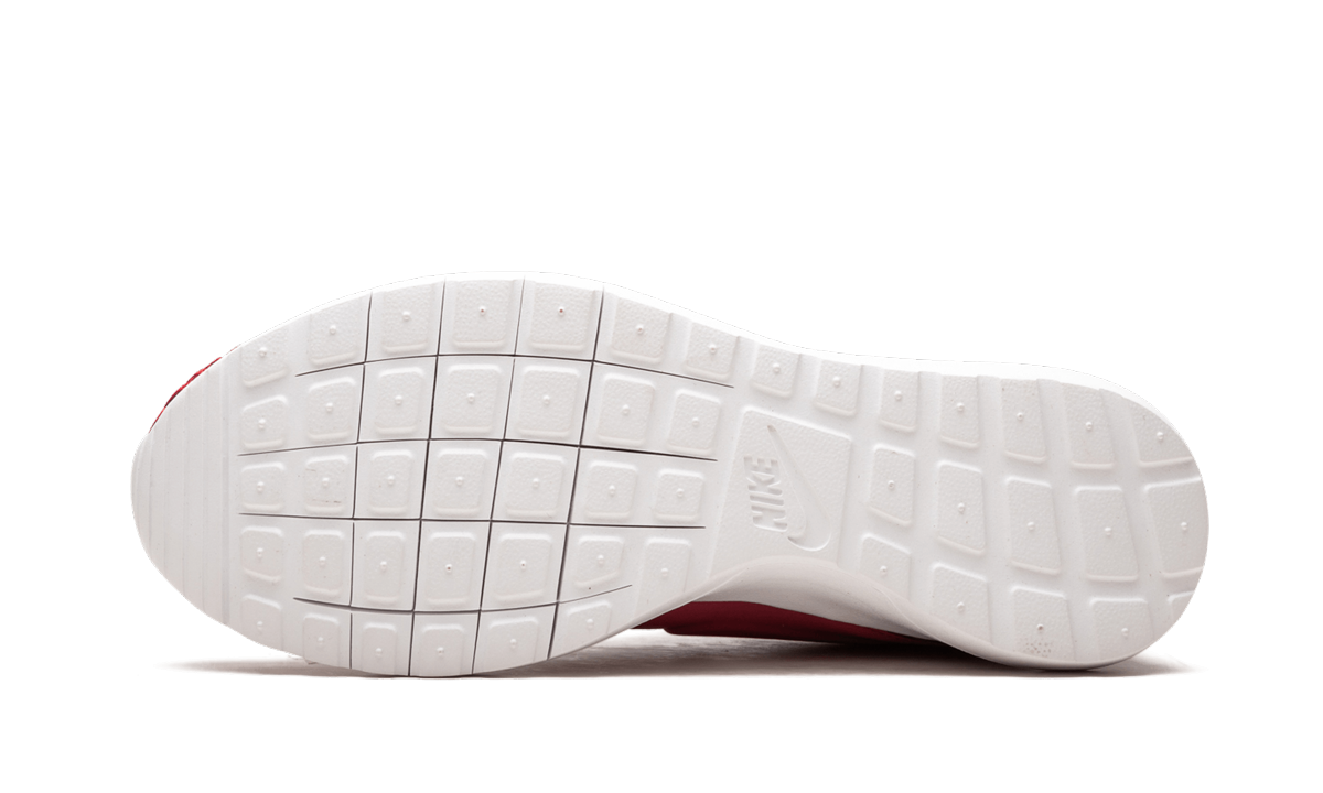Roshe NM Flyknit PRM 746825 600