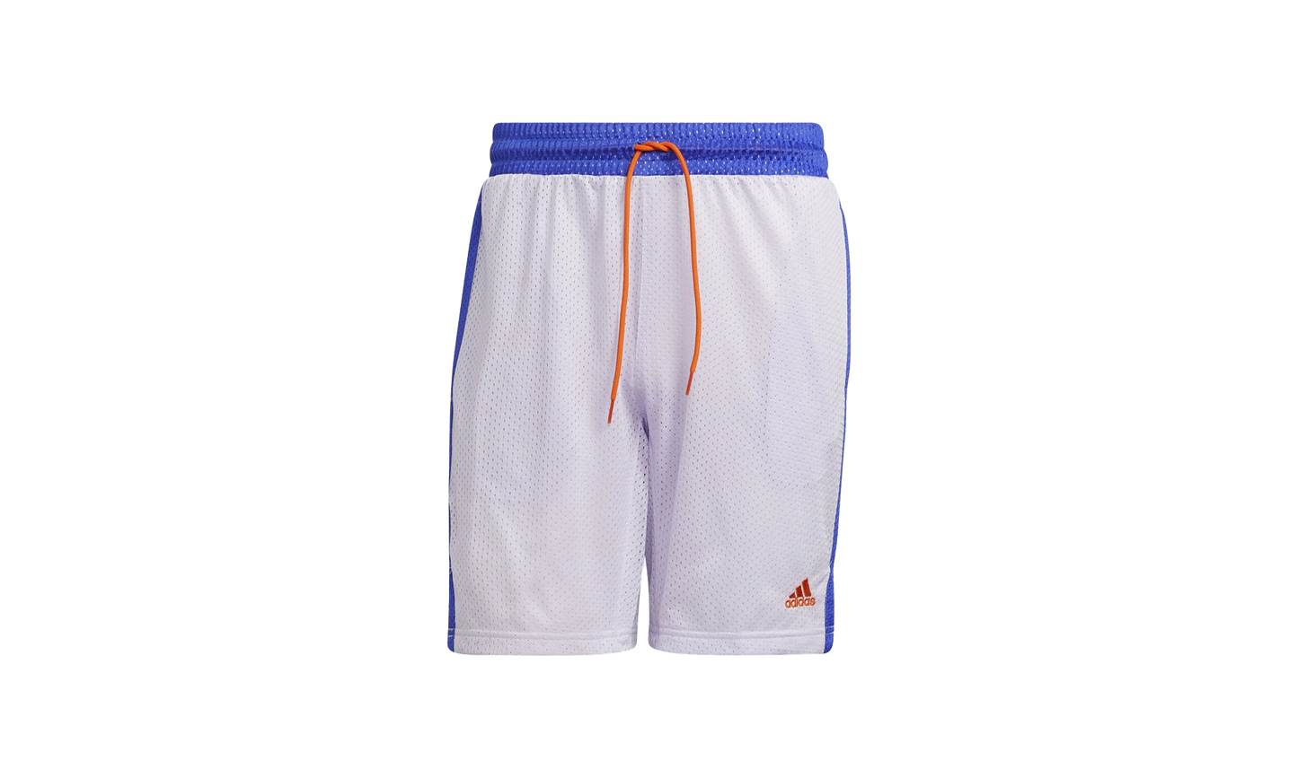 Summer Legend Basketball Shorts "Purple Tint" H24984