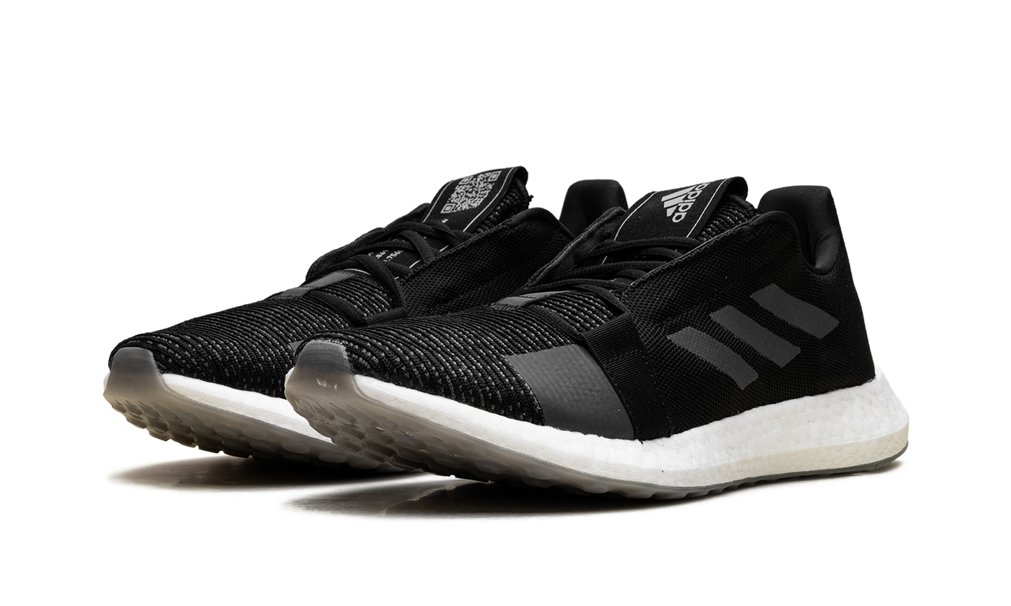 SenseBoost Go EG0960