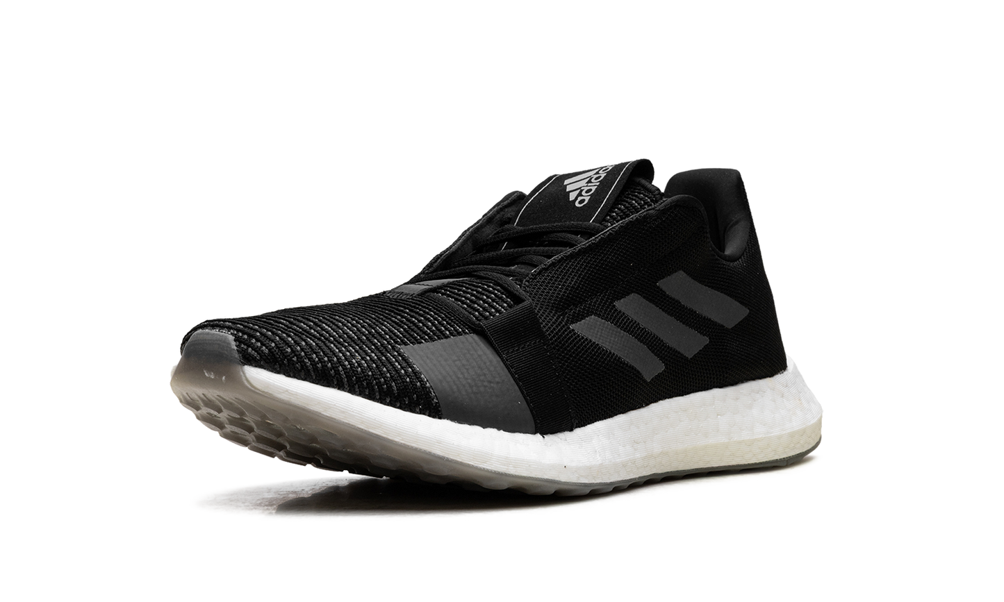 SenseBoost Go EG0960