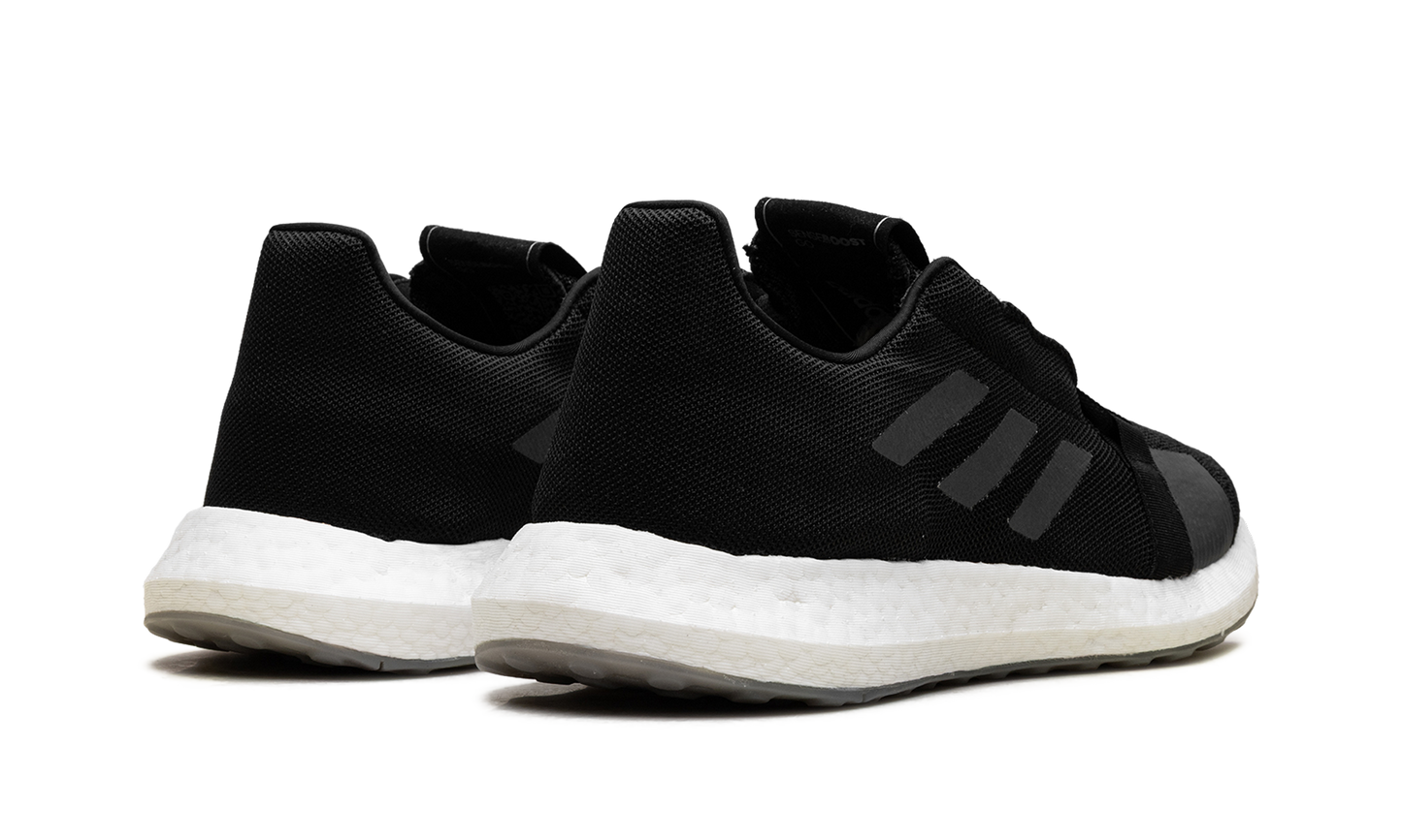 SenseBoost Go EG0960